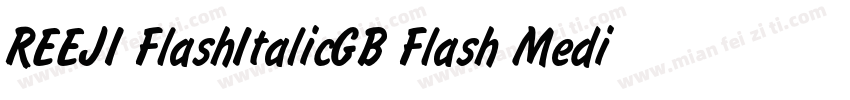 REEJI FlashItalicGB Flash Medium字体转换